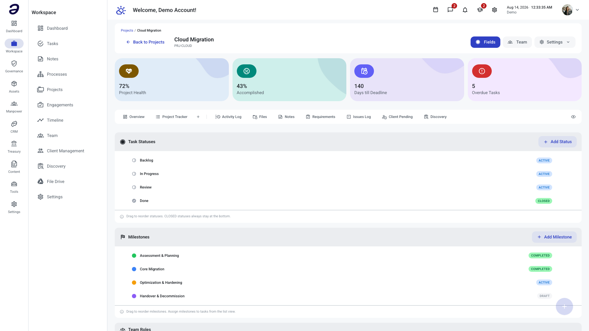 Project fields panel listing task statuses, milestones, and team roles
